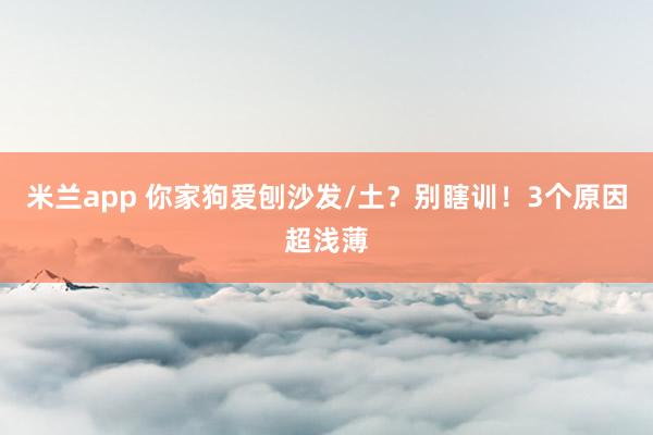 米兰app 你家狗爱刨沙发/土？别瞎训！3个原因超浅薄