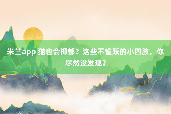 米兰app 猫也会抑郁？这些不雀跃的小四肢，你尽然没发现？