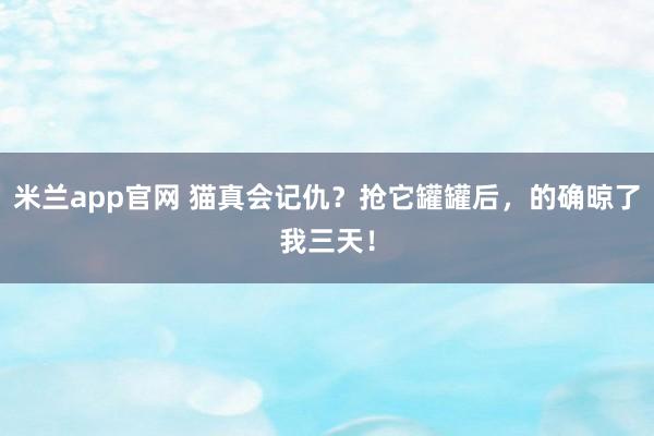 米兰app官网 猫真会记仇？抢它罐罐后，的确晾了我三天！