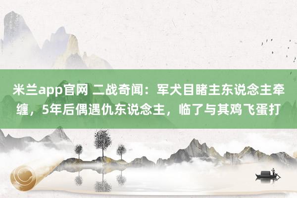 米兰app官网 二战奇闻：军犬目睹主东说念主牵缠，5年后偶遇仇东说念主，临了与其鸡飞蛋打