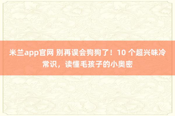 米兰app官网 别再误会狗狗了！10 个超兴味冷常识，读懂毛孩子的小奥密