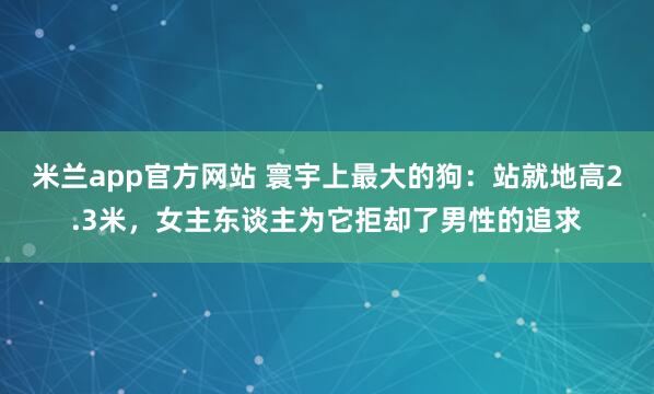 米兰app官方网站 寰宇上最大的狗：站就地高2.3米，女主东谈主为它拒却了男性的追求