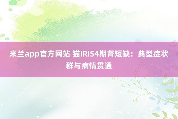 米兰app官方网站 猫IRIS4期肾短缺：典型症状群与病情贯通