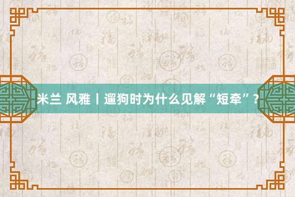 米兰 风雅丨遛狗时为什么见解“短牵”？