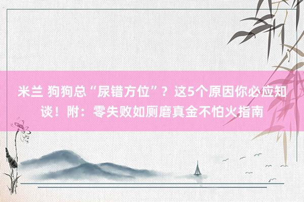 米兰 狗狗总“尿错方位”？这5个原因你必应知谈！附：零失败如厕磨真金不怕火指南