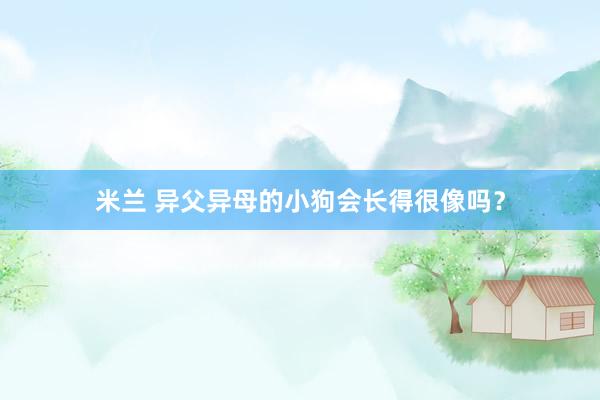 米兰 异父异母的小狗会长得很像吗？