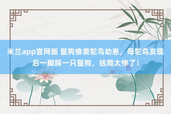 米兰app官网版 鬣狗偷袭鸵鸟幼崽，母鸵鸟发现后一脚踩一只鬣狗，结局太惨了！