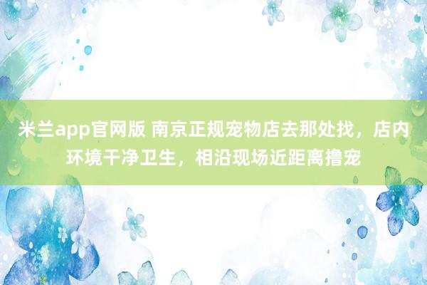 米兰app官网版 南京正规宠物店去那处找，店内环境干净卫生，相沿现场近距离撸宠