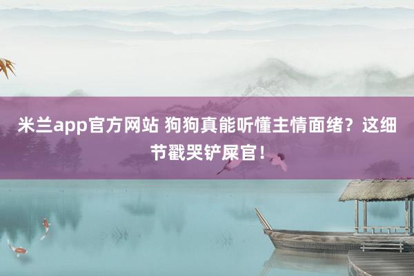 米兰app官方网站 狗狗真能听懂主情面绪？这细节戳哭铲屎官！