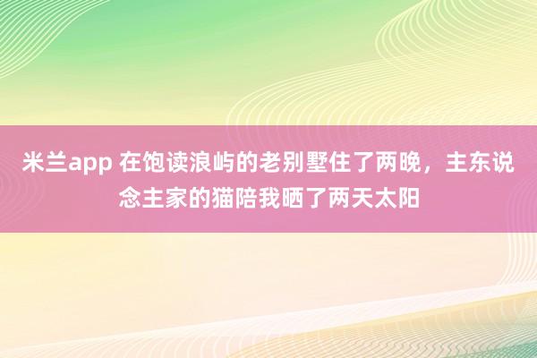 米兰app 在饱读浪屿的老别墅住了两晚，主东说念主家的猫陪我晒了两天太阳