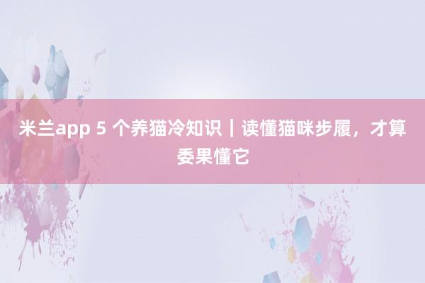 米兰app 5 个养猫冷知识｜读懂猫咪步履，才算委果懂它