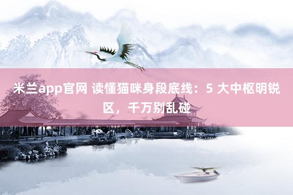 米兰app官网 读懂猫咪身段底线：5 大中枢明锐区，千万别乱碰