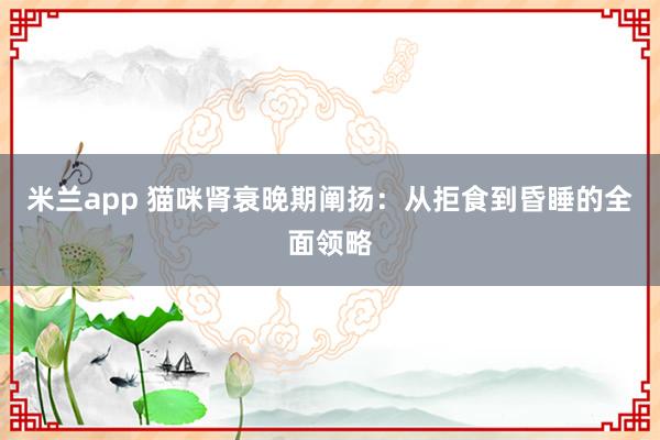 米兰app 猫咪肾衰晚期阐扬：从拒食到昏睡的全面领略