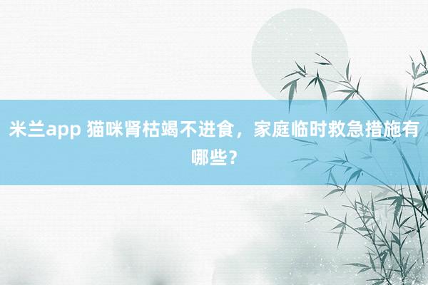 米兰app 猫咪肾枯竭不进食，家庭临时救急措施有哪些？