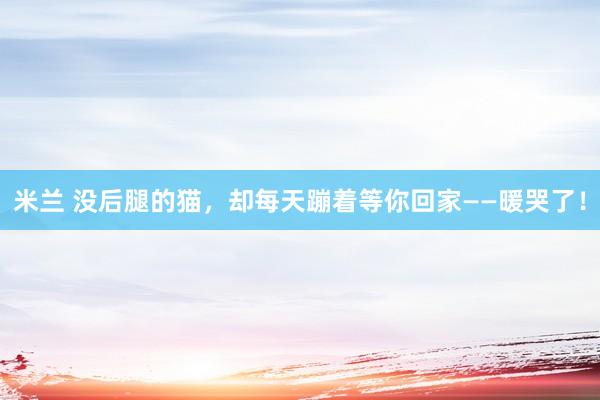 米兰 没后腿的猫，却每天蹦着等你回家——暖哭了！