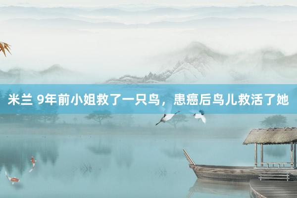 米兰 9年前小姐救了一只鸟，患癌后鸟儿救活了她