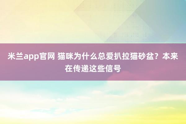 米兰app官网 猫咪为什么总爱扒拉猫砂盆？本来在传递这些信号