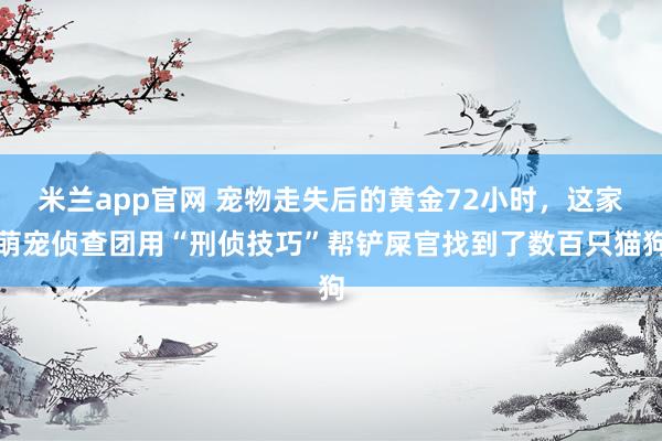 米兰app官网 宠物走失后的黄金72小时，这家萌宠侦查团用“刑侦技巧”帮铲屎官找到了数百只猫狗