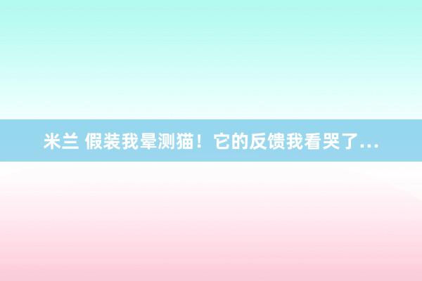 米兰 假装我晕测猫！它的反馈我看哭了…