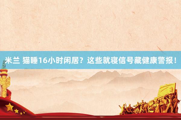 米兰 猫睡16小时闲居？这些就寝信号藏健康警报！