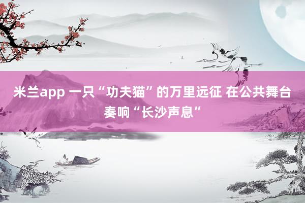 米兰app 一只“功夫猫”的万里远征 在公共舞台奏响“长沙声息”