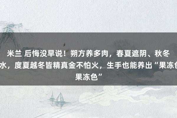 米兰 后悔没早说！朔方养多肉，春夏遮阴、秋冬控水，度夏越冬皆精真金不怕火，生手也能养出“果冻色”