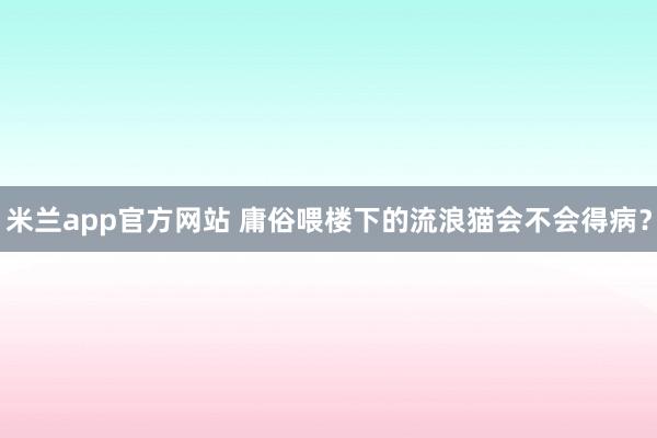 米兰app官方网站 庸俗喂楼下的流浪猫会不会得病？