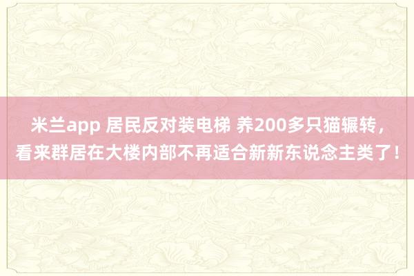 米兰app 居民反对装电梯 养200多只猫辗转，看来群居在大楼内部不再适合新新东说念主类了！