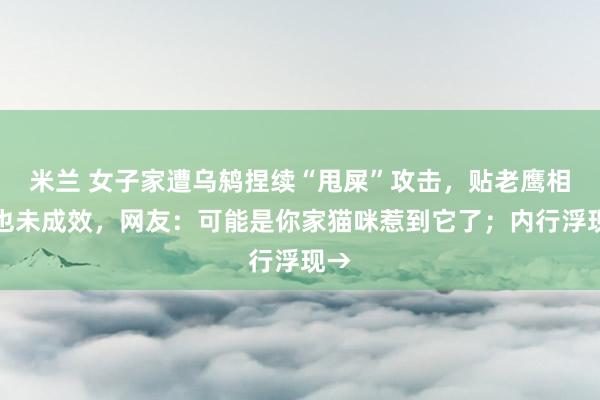 米兰 女子家遭乌鸫捏续“甩屎”攻击，贴老鹰相片也未成效，网友：可能是你家猫咪惹到它了；内行浮现→