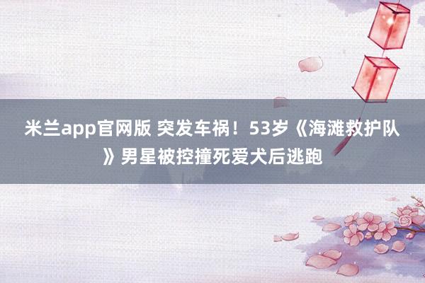 米兰app官网版 突发车祸！53岁《海滩救护队》男星被控撞死爱犬后逃跑