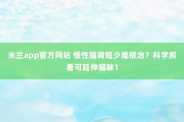 米兰app官方网站 慢性猫肾短少难根治？科学照看可延伸猫咪1