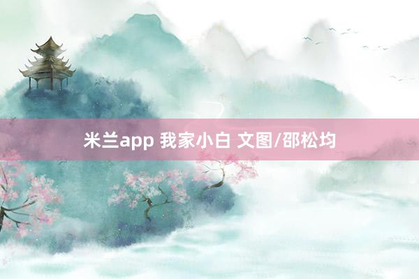 米兰app 我家小白 文图/邵松均