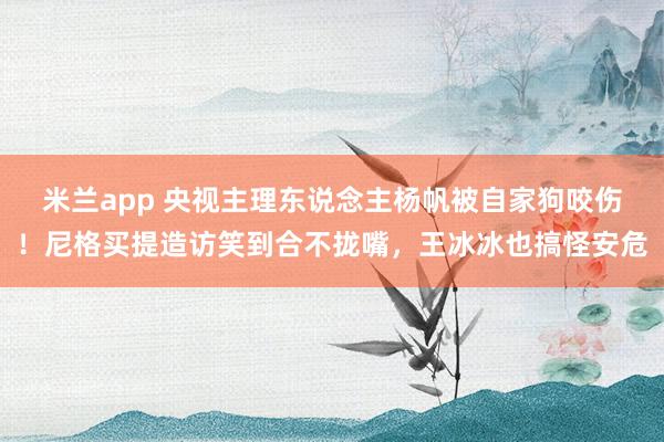 米兰app 央视主理东说念主杨帆被自家狗咬伤！尼格买提造访笑到合不拢嘴，王冰冰也搞怪安危