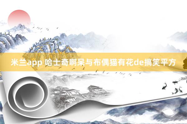 米兰app 哈士奇啊呆与布偶猫有花de搞笑平方
