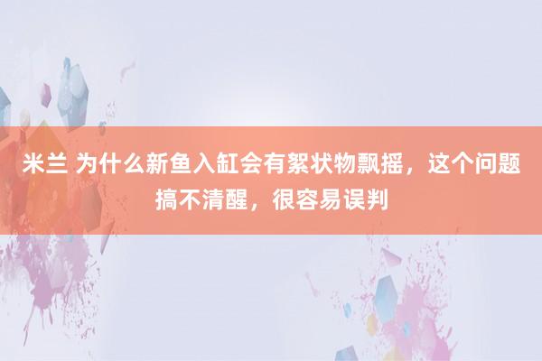 米兰 为什么新鱼入缸会有絮状物飘摇，这个问题搞不清醒，很容易误判