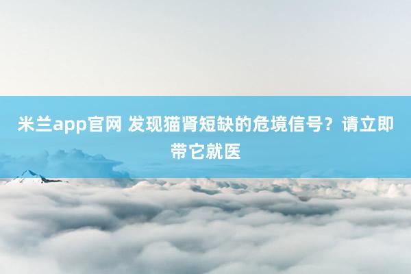 米兰app官网 发现猫肾短缺的危境信号？请立即带它就医