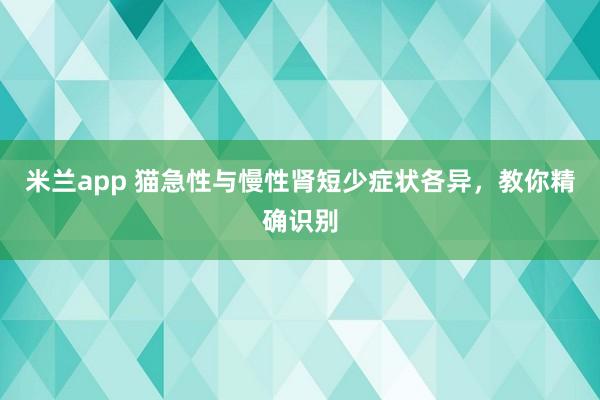 米兰app 猫急性与慢性肾短少症状各异，教你精确识别