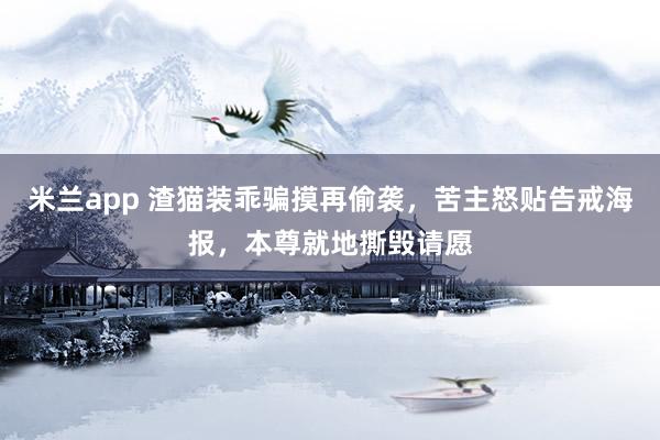 米兰app 渣猫装乖骗摸再偷袭，苦主怒贴告戒海报，本尊就地撕毁请愿