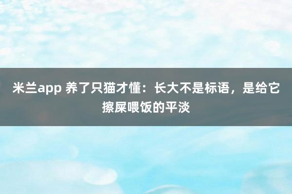 米兰app 养了只猫才懂：长大不是标语，是给它擦屎喂饭的平淡