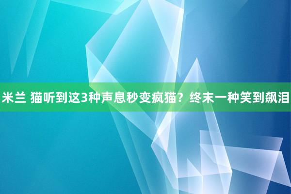 米兰 猫听到这3种声息秒变疯猫？终末一种笑到飙泪