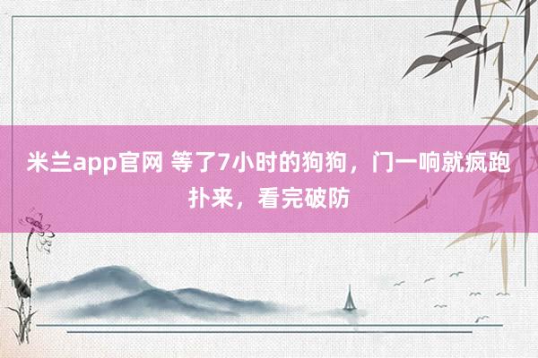 米兰app官网 等了7小时的狗狗，门一响就疯跑扑来，看完破防