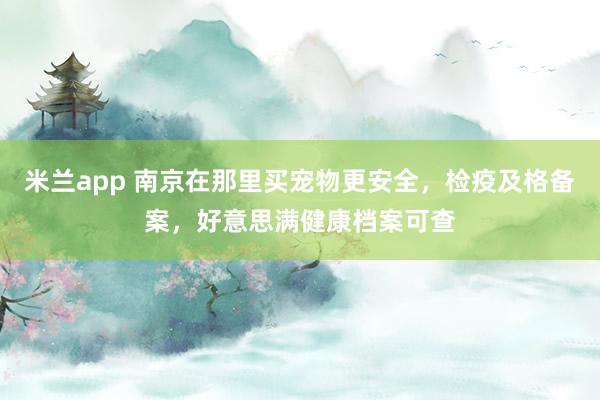 米兰app 南京在那里买宠物更安全，检疫及格备案，好意思满健康档案可查