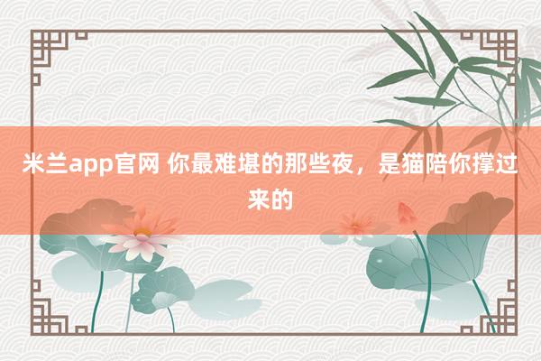 米兰app官网 你最难堪的那些夜，是猫陪你撑过来的