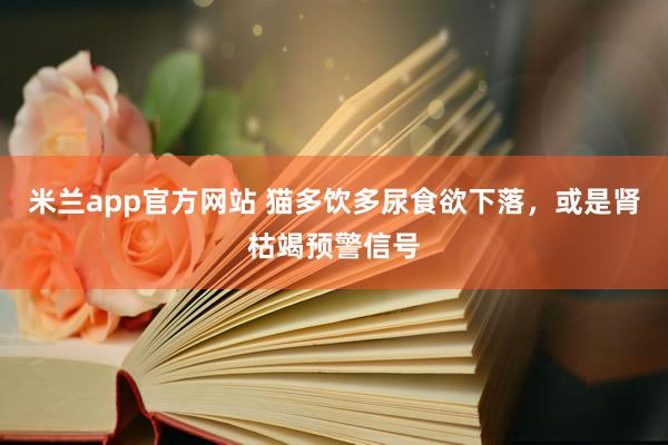 米兰app官方网站 猫多饮多尿食欲下落，或是肾枯竭预警信号