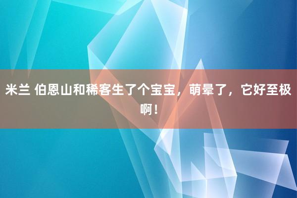 米兰 伯恩山和稀客生了个宝宝，萌晕了，它好至极啊！