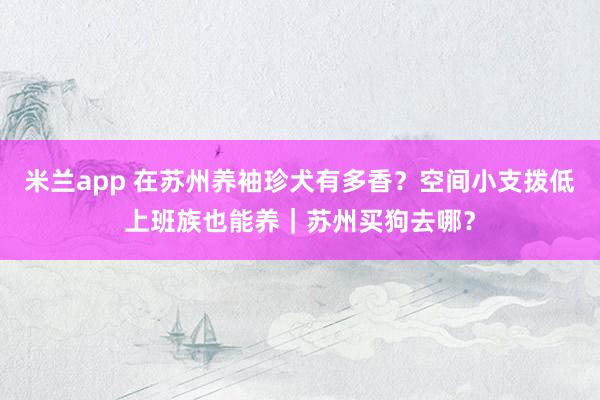 米兰app 在苏州养袖珍犬有多香？空间小支拨低上班族也能养｜苏州买狗去哪？