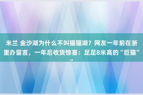 米兰 金沙湖为什么不叫猫猫湖？网友一年前在浙里办留言，一年后收货惊喜：足足8米高的“巨猫”