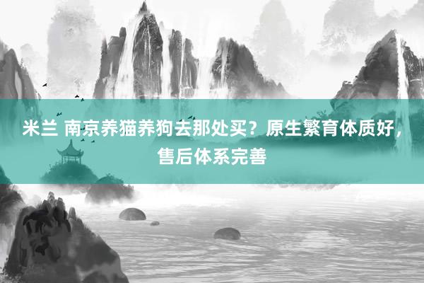 米兰 南京养猫养狗去那处买？原生繁育体质好，售后体系完善