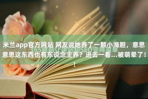 米兰app官方网站 网友说她养了一颗小海胆，意思意思这东西也有东说念主养？进去一看...被萌晕了！