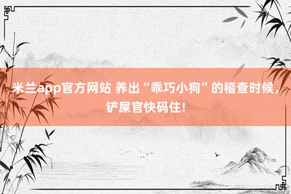 米兰app官方网站 养出“乖巧小狗”的稽查时候，铲屎官快码住!